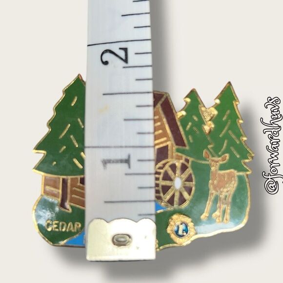 Bundle Sale 3 for $15 | Cedar Mills Lions Club Pin - Picture 5 of 9